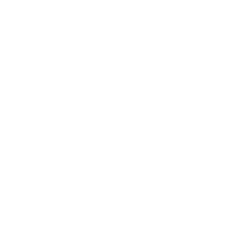 money icon